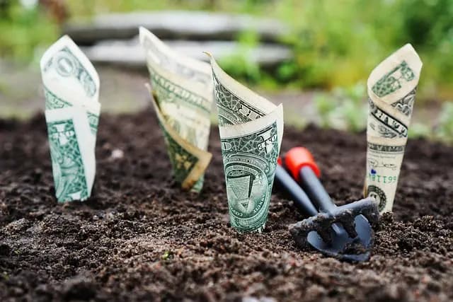 Comment choisir le meilleur compte d'épargne pour maximiser vos intérêts