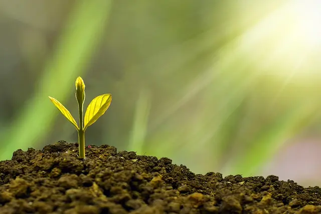 Comment démarrer un investissement responsable pour optimiser votre argent
