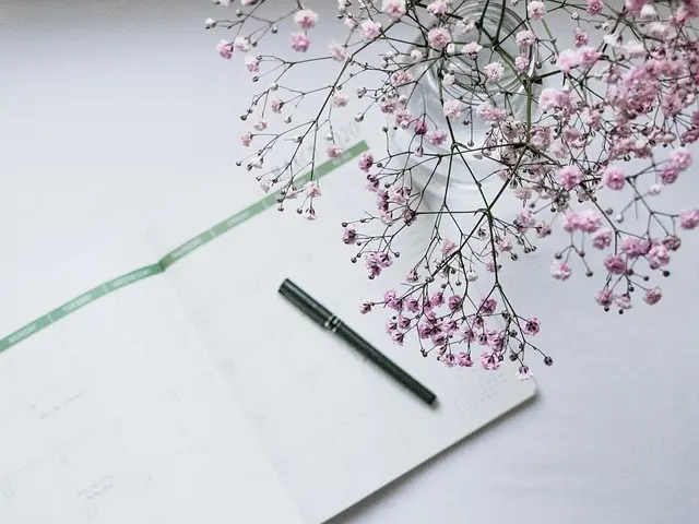 Comment optimiser votre budget mensuel en 5 étapes simples